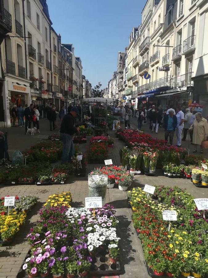 Bienvenue Sous Les Toits De Dieppe *** Hypercentre Dış mekan fotoğraf